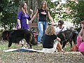 img 164